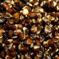 All-in Partikels Boekweit