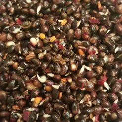 All-in Partikels Hennep Chili