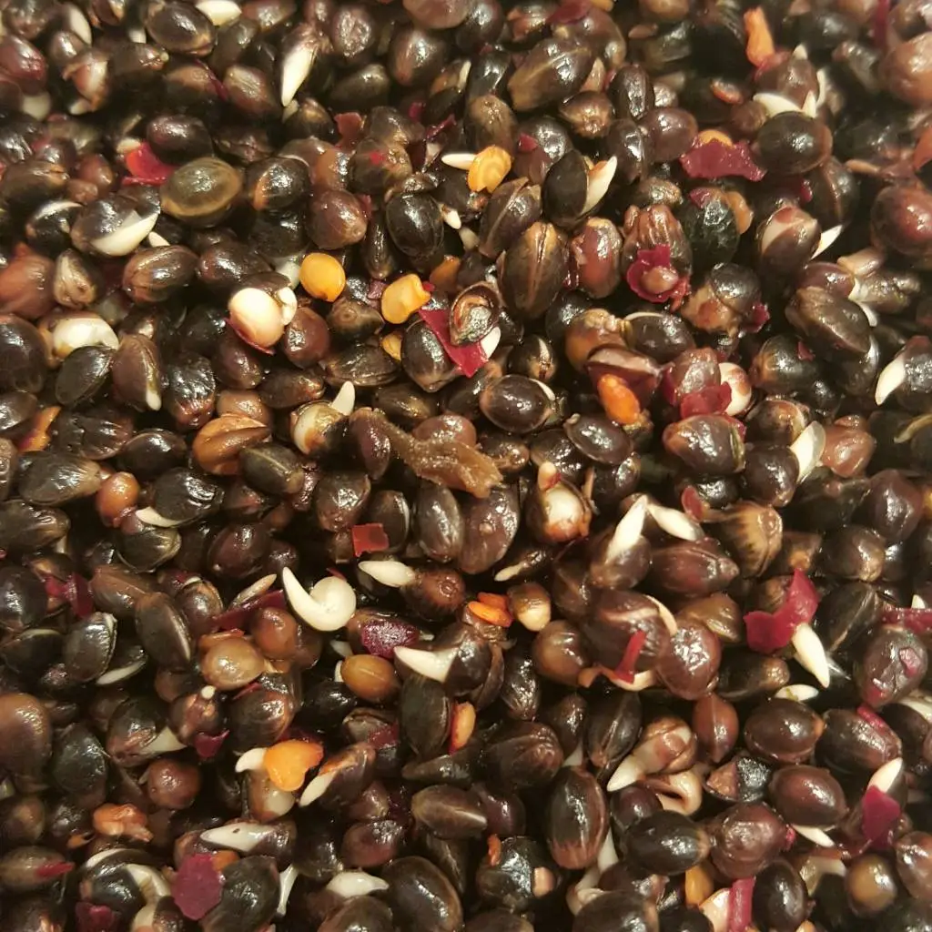 All-in Partikels Hennep Chili 3 All-in Partikels Hennep Chili