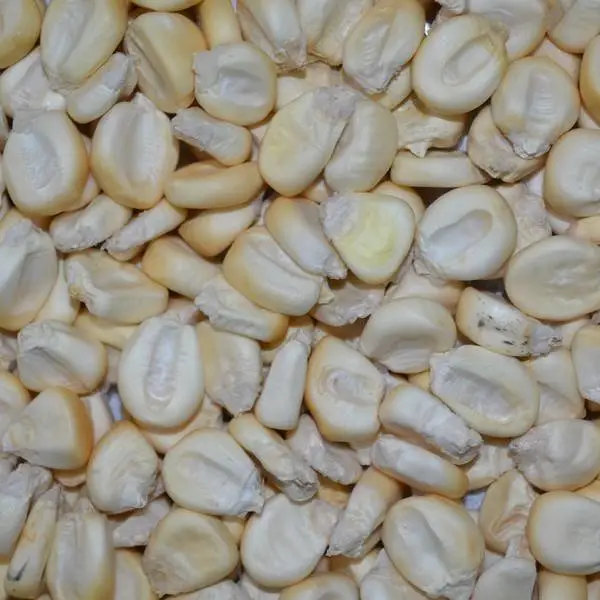 All-in Partikels Mais Xxl 4 All-in Partikels Mais Xxl - Afbeelding 2