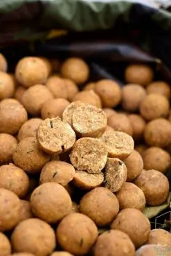 CCMOORE Live System Shelf Life Boilies 5kg -Exporteren Visser Gear Winkel ccmoore live system shelf life boilies 5kg 1