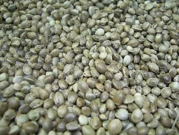 Elite Hennep 3 Elite Hennep