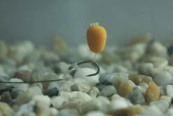 Enterprice Popup Imitation Mais -Exporteren Visser Gear Winkel enterprice popup imitation mais 1