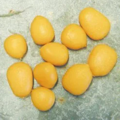 Enterprice Popup Imitation Mais -Exporteren Visser Gear Winkel enterprice popup imitation mais 2