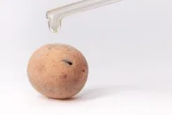 Floki's Baits Pop-up Krill -Exporteren Visser Gear Winkel flokis baits pop up krill 1