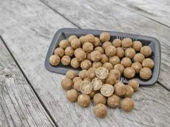 Grainbaits Scopex Cream Belachan Boilies
