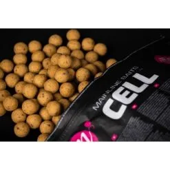 Mainline Shelf Live Boilies The Cell 1 Kg 8 Mainline Shelf Live Boilies The Cell 1 Kg -Exporteren Visser Gear Winkel mainline shelf live boilies the cell 1 kg 2