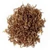 Pallatrax Dried Naturals Bloodworm 2 Pallatrax Dried Naturals Bloodworm -Exporteren Visser Gear Winkel pallatrax dried naturals bloodworm