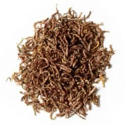 Pallatrax Dried Naturals Bloodworm