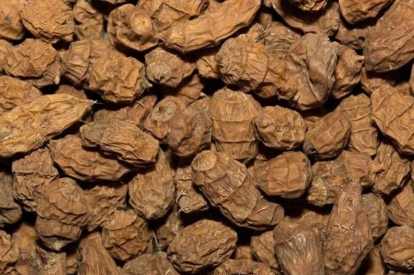 Tigernuts Tijgernoten Xl Large 3 Tigernuts Tijgernoten Xl Large