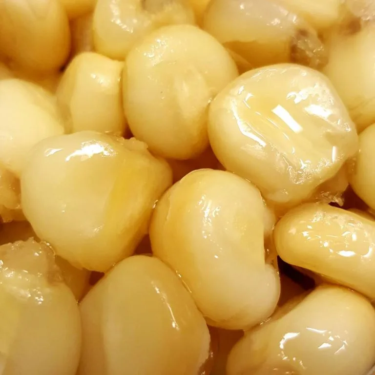 Exporteren Visser Gear Winkel 12 Exporteren Visser Gear Winkel -Exporteren Visser Gear Winkel all in partikels mais xxl 768x768 1